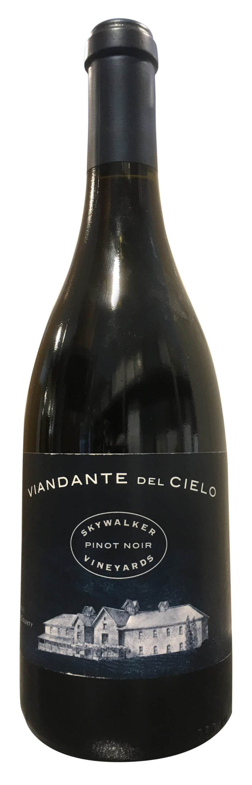 Skywalker Viandante Del Cielo Pinot Noir 2011 Skywalker Viandante Del Cielo Pinot Noir 2011
